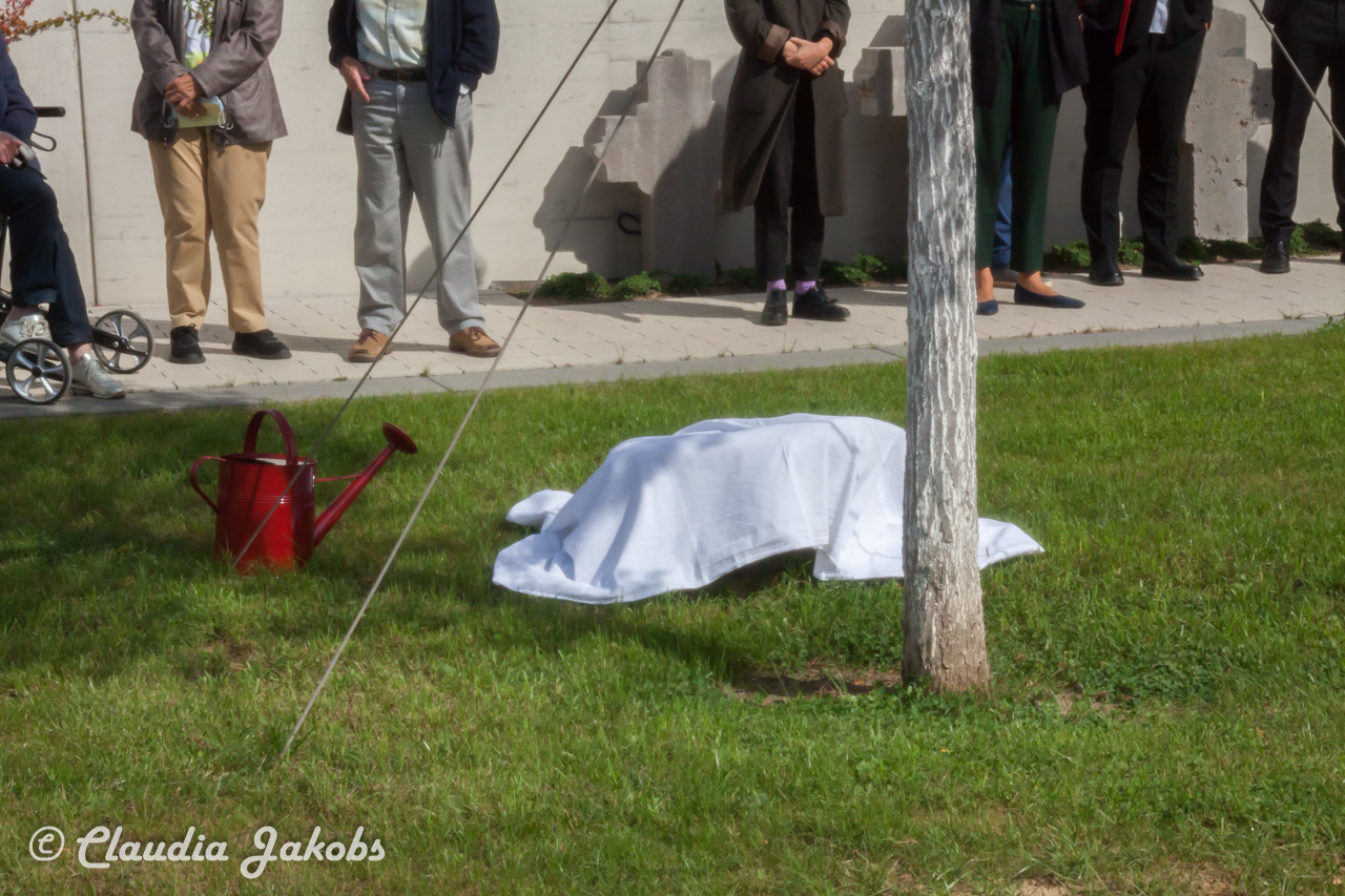 20210912122010 IMG 9777