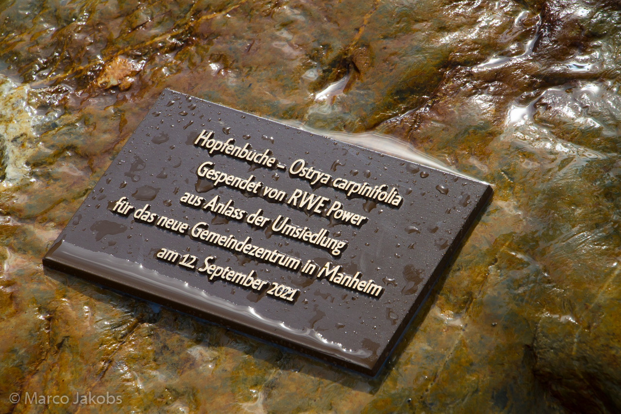 20210912122341 MJ  8910