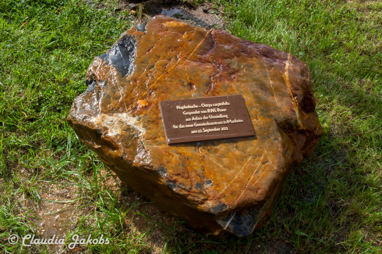 20210912122342 IMG 9819