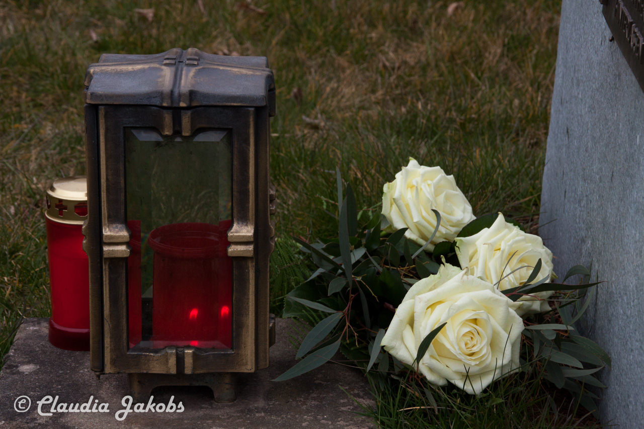 20160320150742 IMG 0085