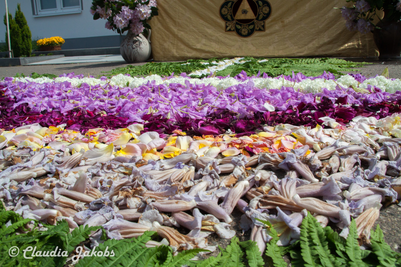 20160526141234 IMG 0940