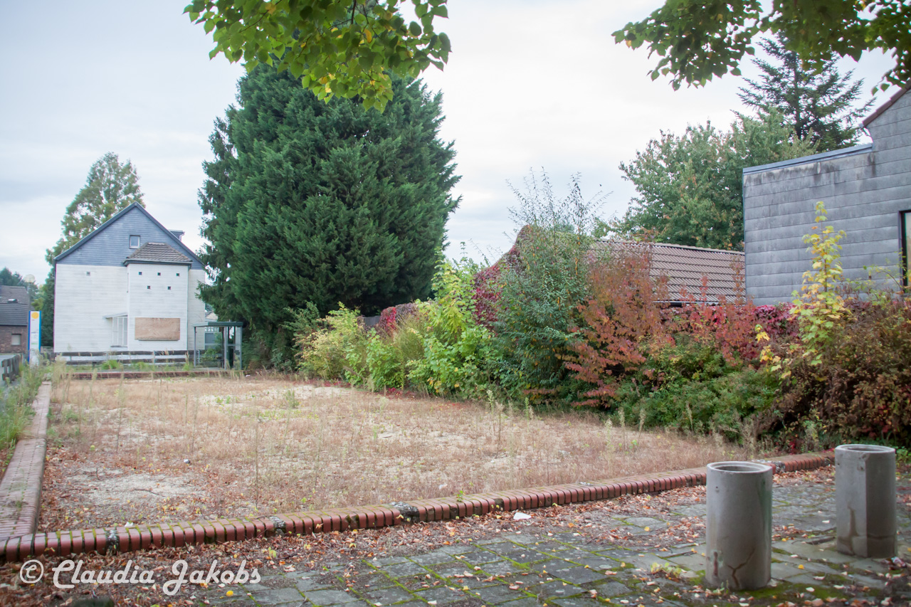 20170928092513 IMG 9445