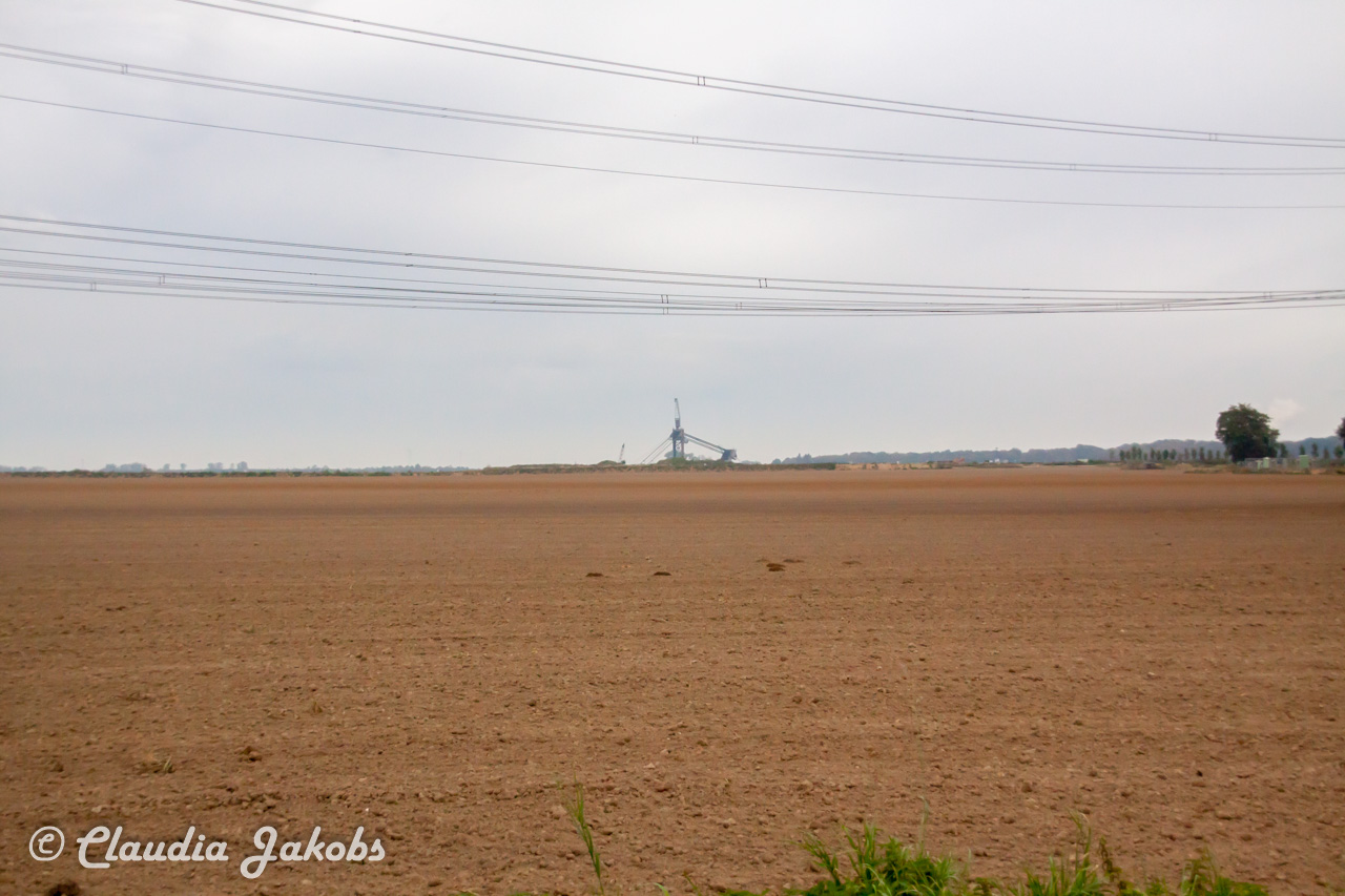 20170928092942 IMG 9447