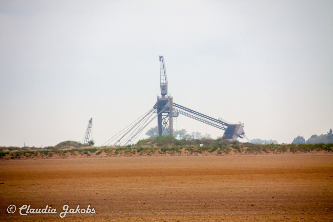 20170928092947 IMG 9448