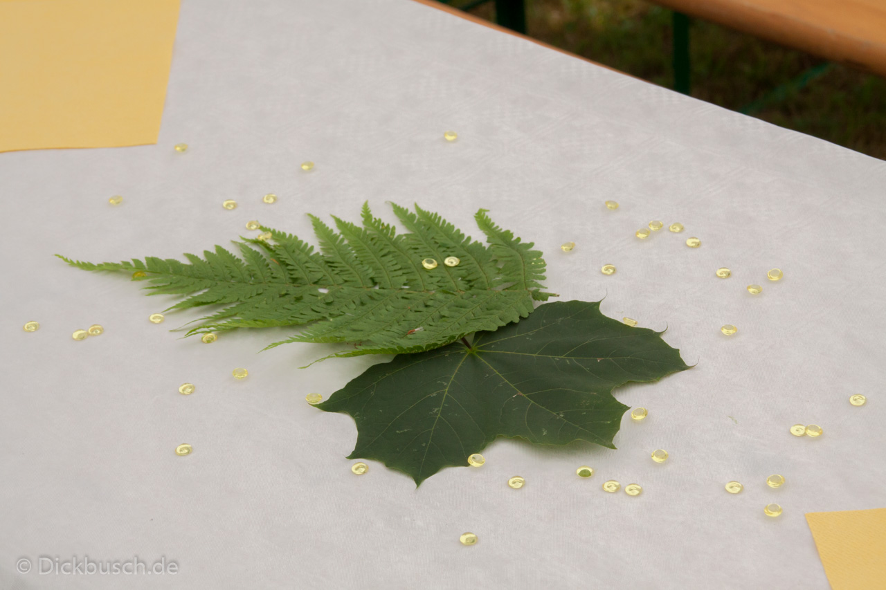 20160703105339 IMG 1652