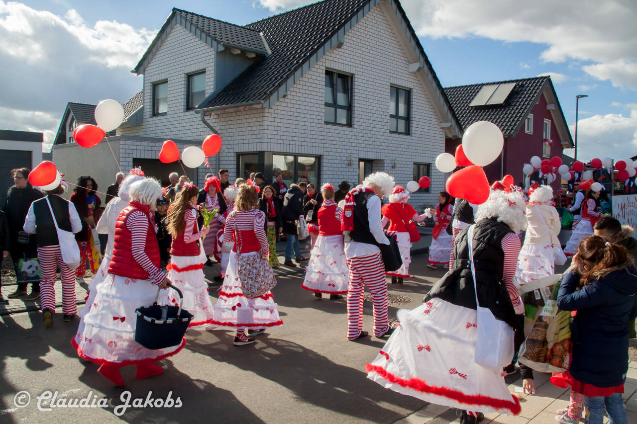 20190305145706 IMG 3853