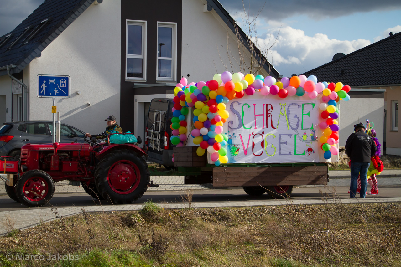 20190305150037 MJ  7180