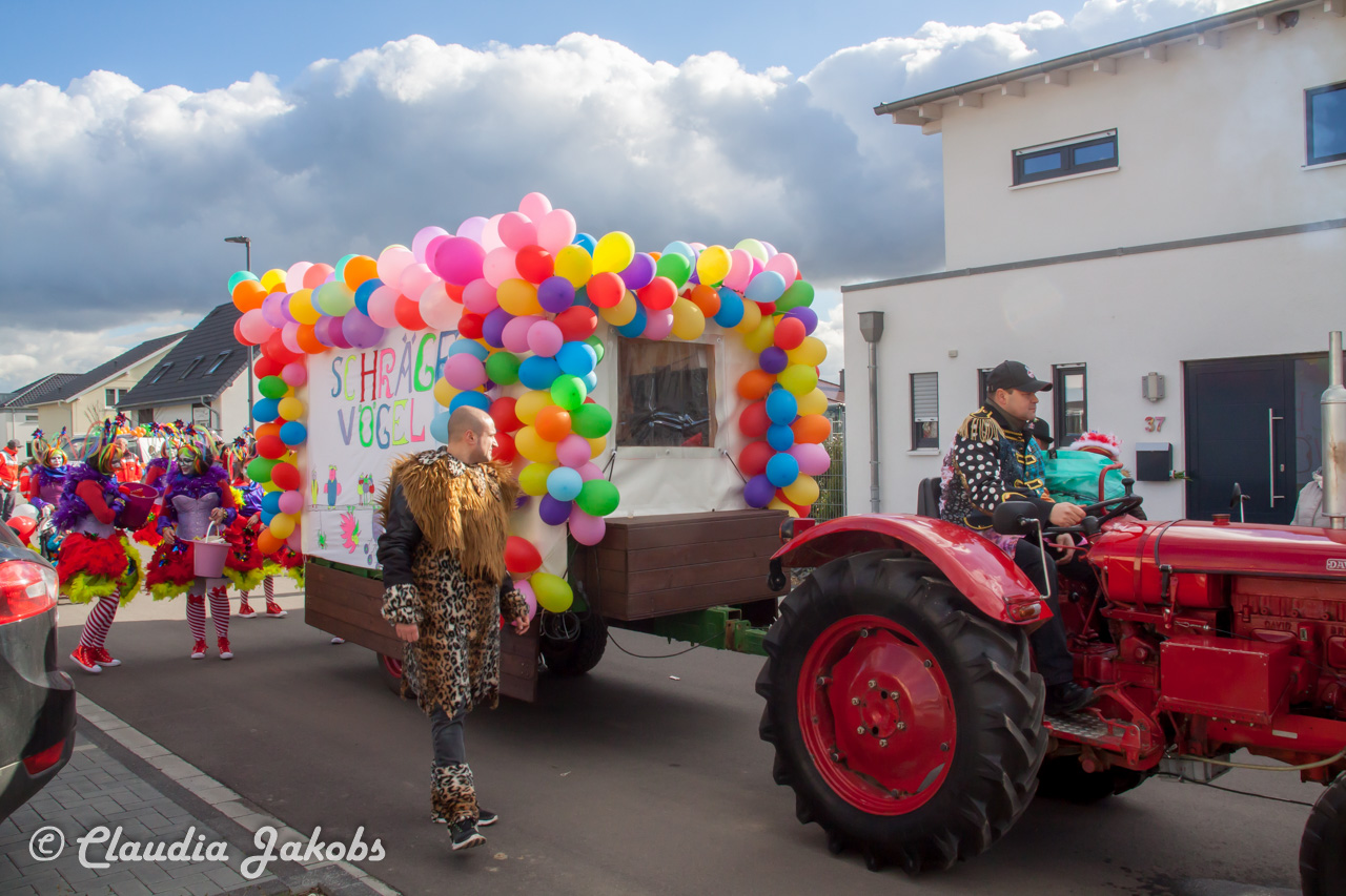 20190305150217 IMG 3887