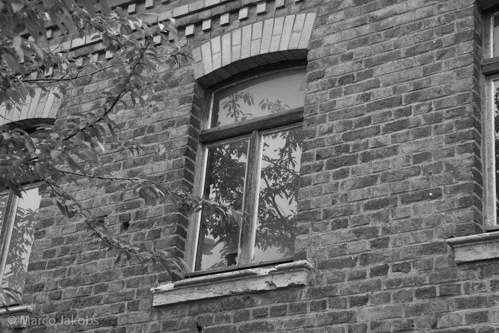 120701130559 IMG 8530