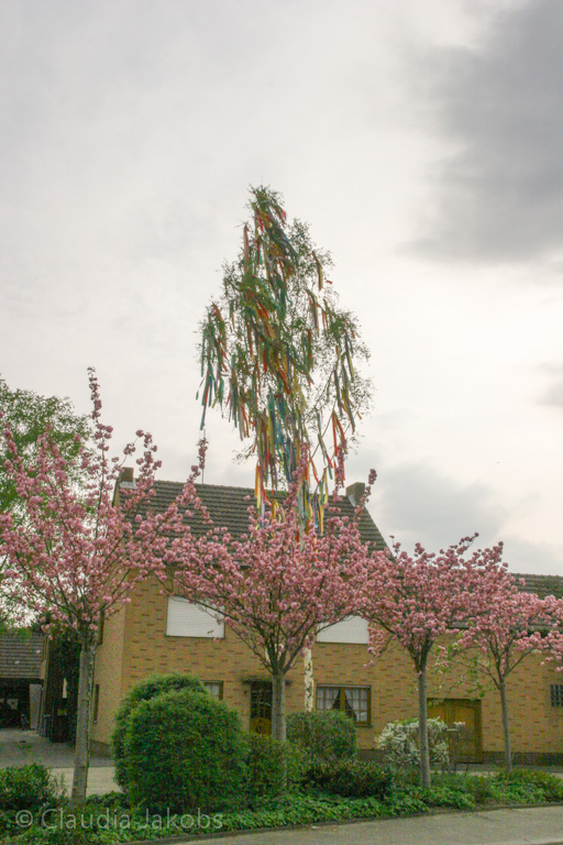 130501172057 IMG 5820