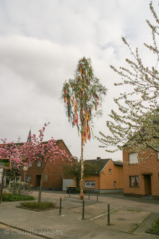 130501172132 IMG 5822