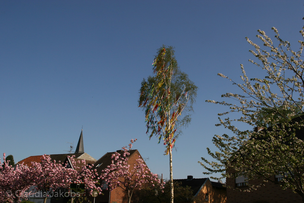 130504170253 IMG 5866