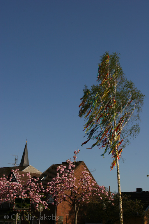 130504170307 IMG 5867