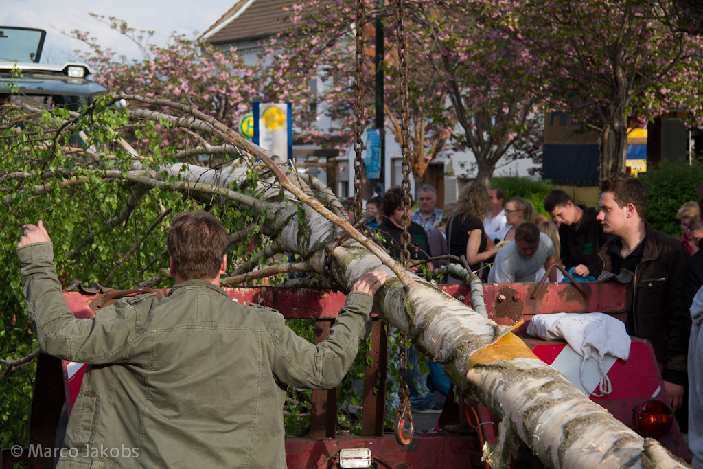 120430185220 IMG 7381