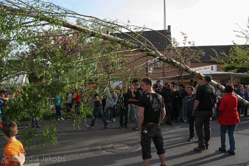 120430185352 IMG 2138