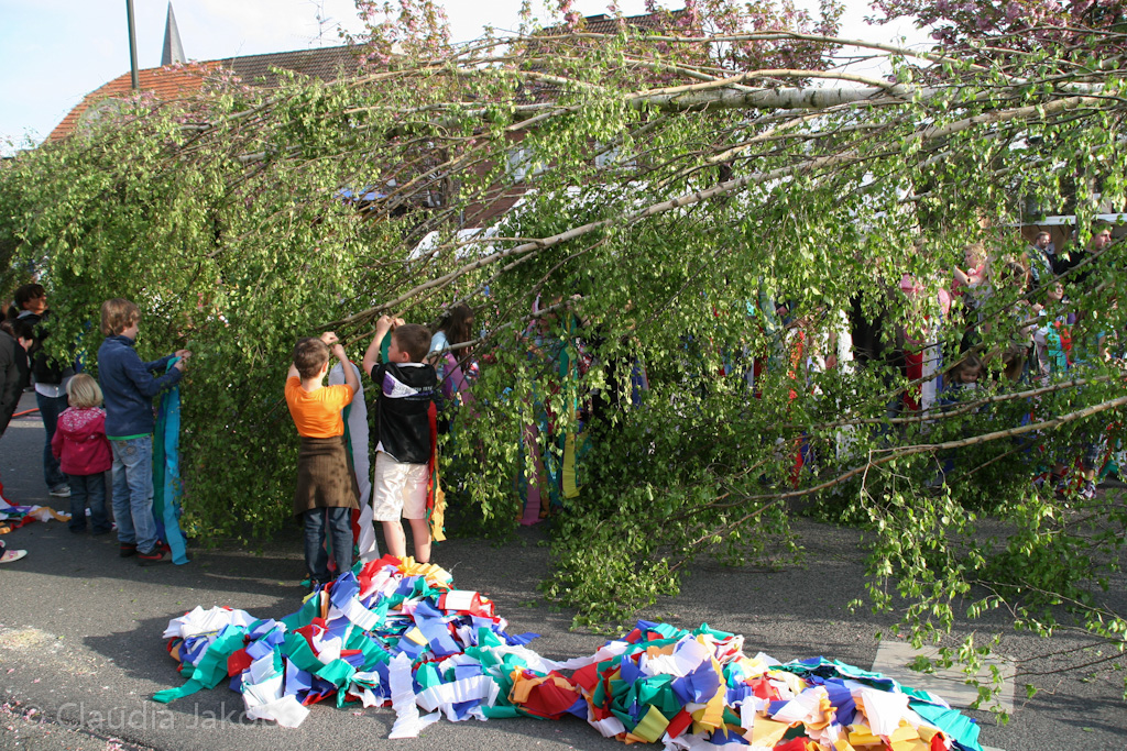 120430185527 IMG 2146