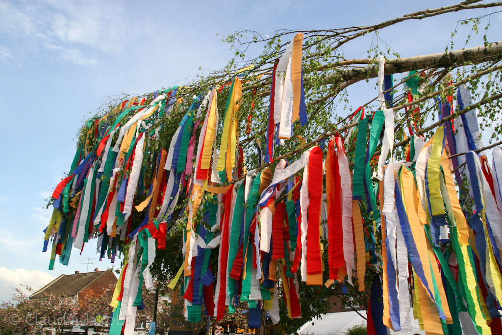 120430191153 IMG 2176