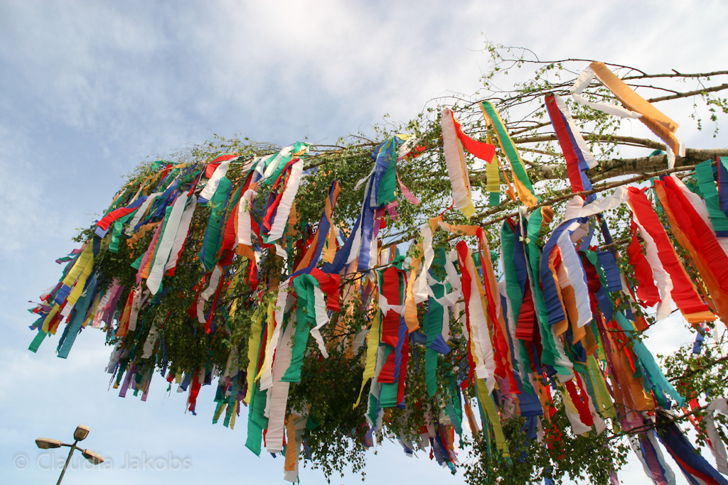 120430191202 IMG 2177