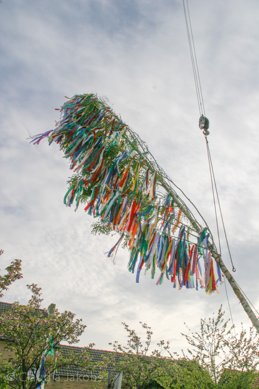 120430191237 IMG 2180