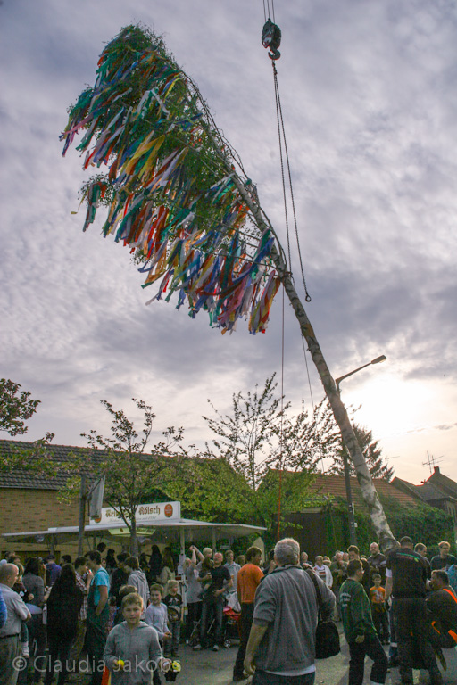 120430191246 IMG 2182