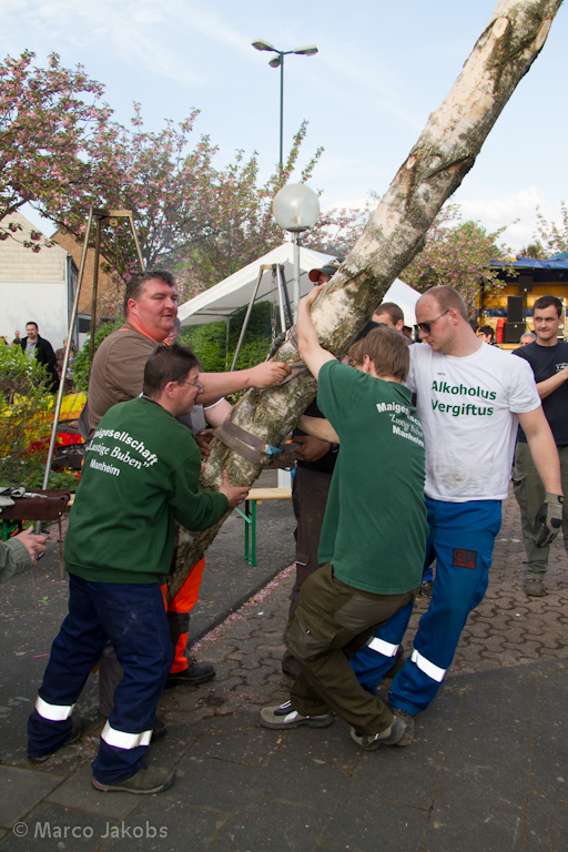 120430191348 IMG 7455