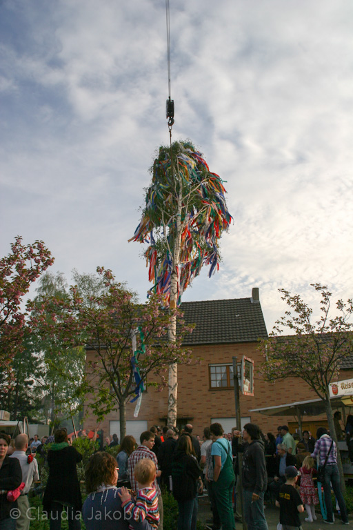 120430191407 IMG 2186