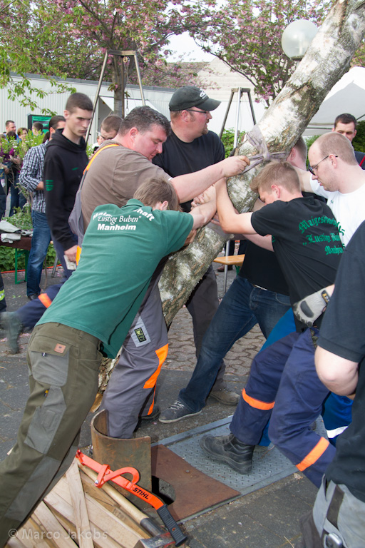 120430191410 IMG 7457