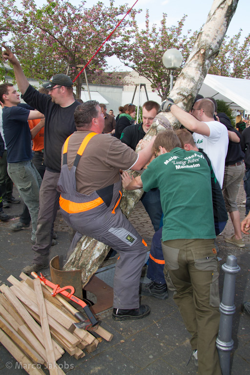 120430191418 IMG 7458