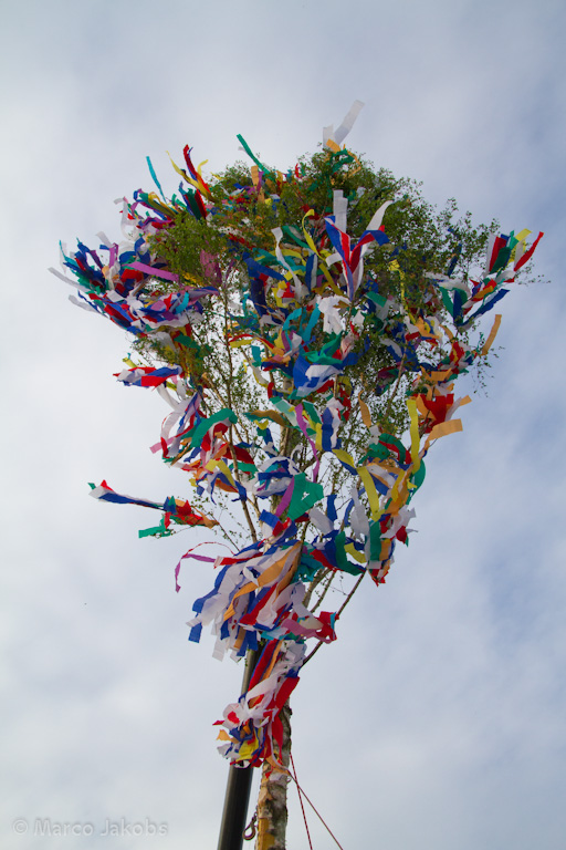 120430191457 IMG 7461