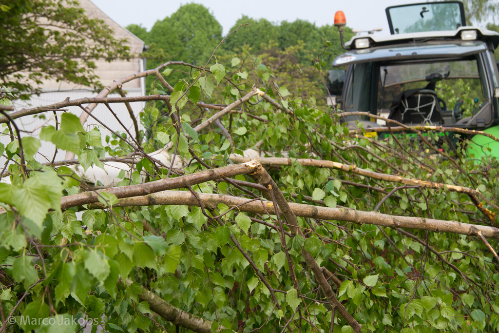 140430173851 MJ  1310