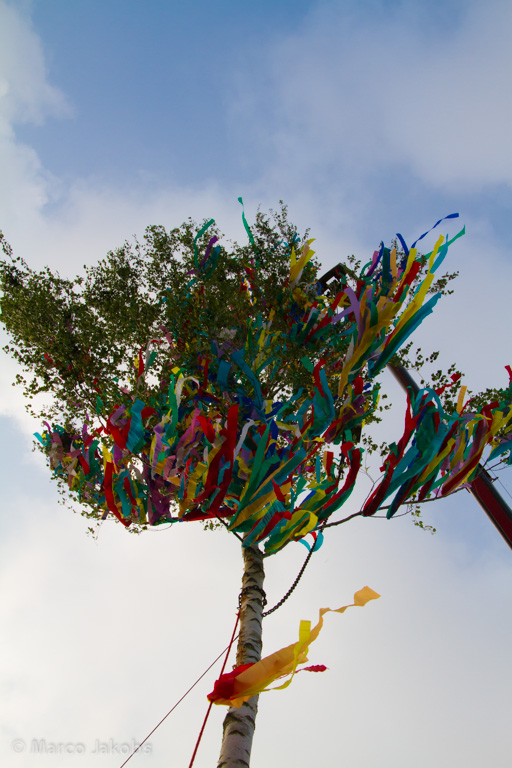 140430180134 MJ  1391