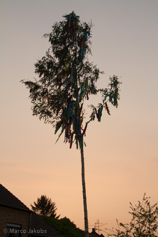 140430192032 MJ  1501