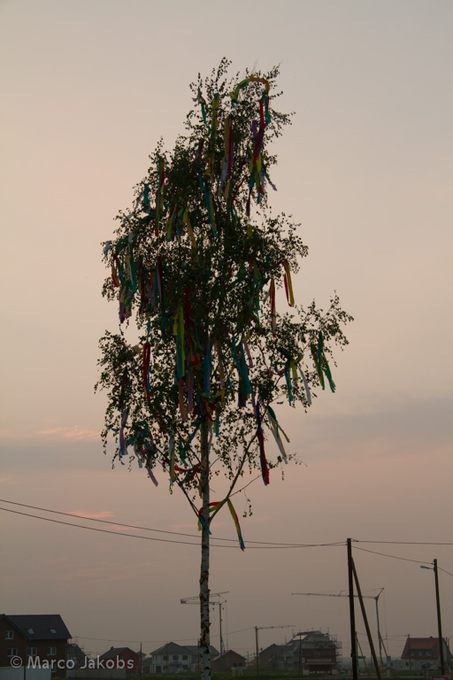 140430193337 MJ  1517