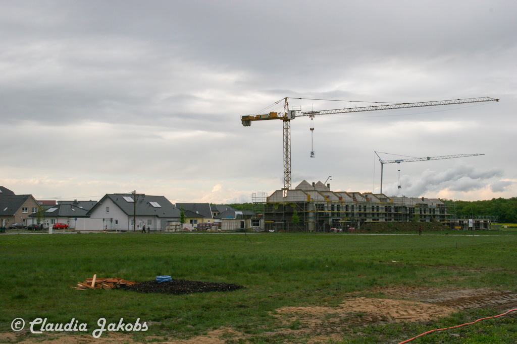 150430164752 IMG 8838