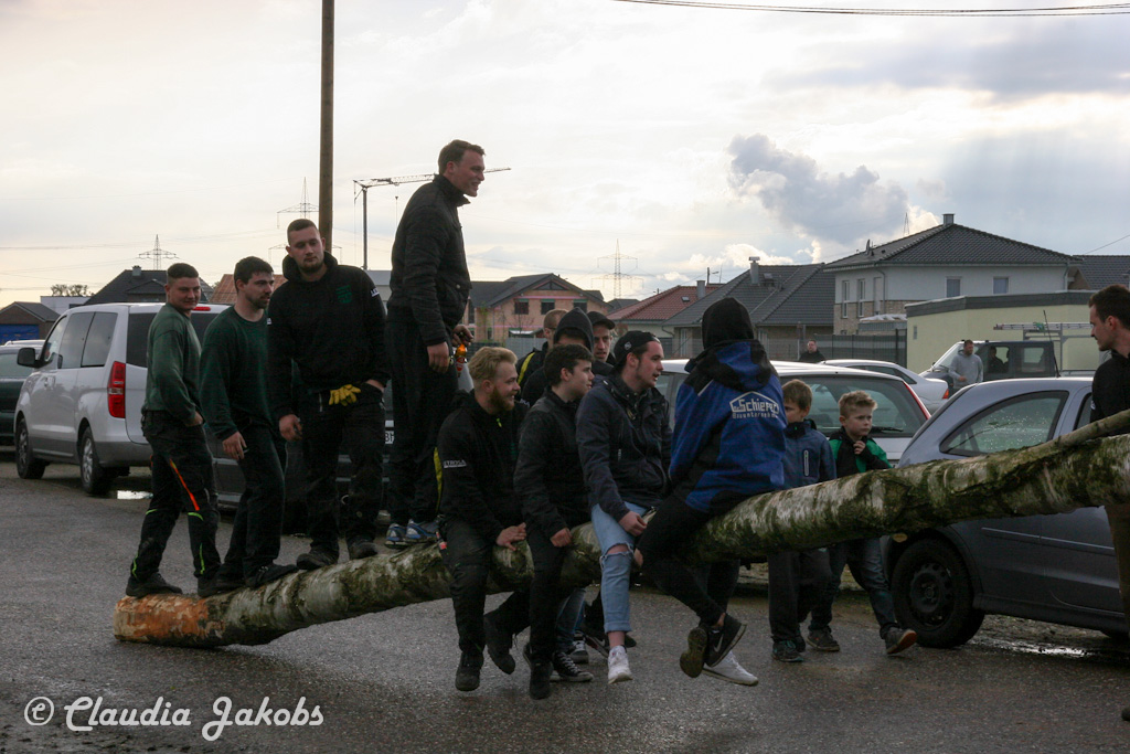 150430173408 IMG 8865