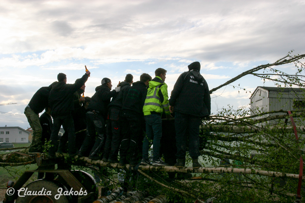 150430173414 IMG 8866