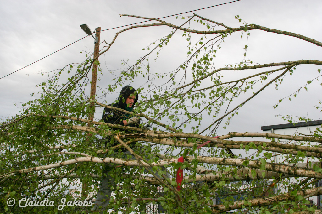 150430173653 IMG 8873