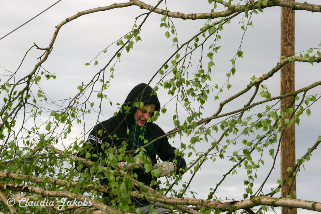 150430173712 IMG 8874