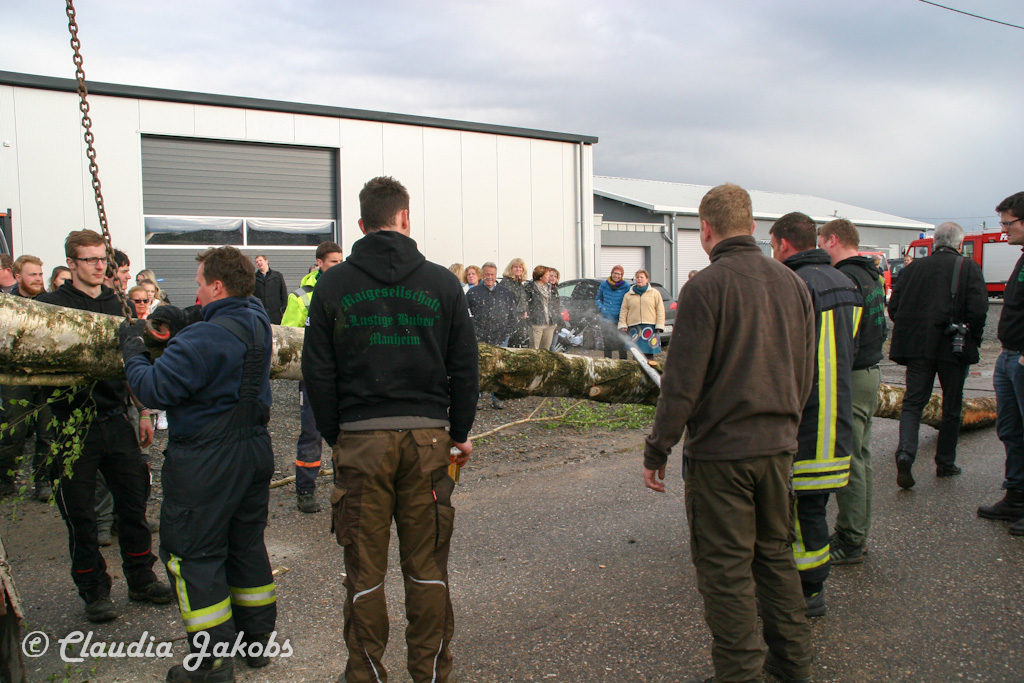 150430174252 IMG 8886