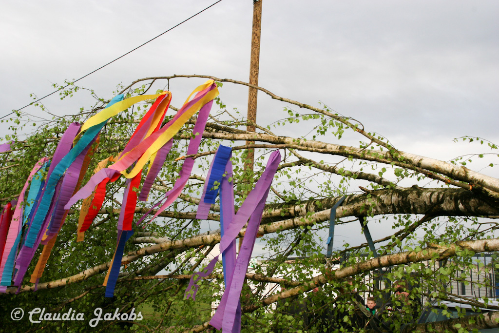 150430174535 IMG 8891