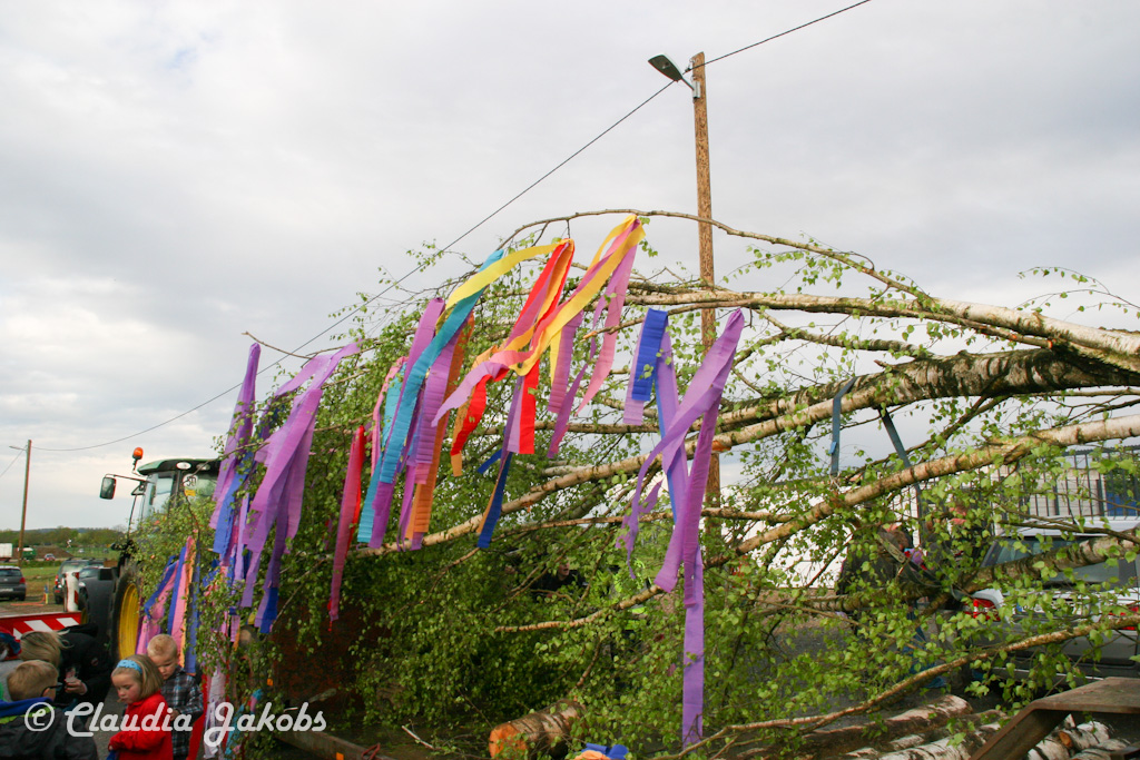 150430174541 IMG 8892