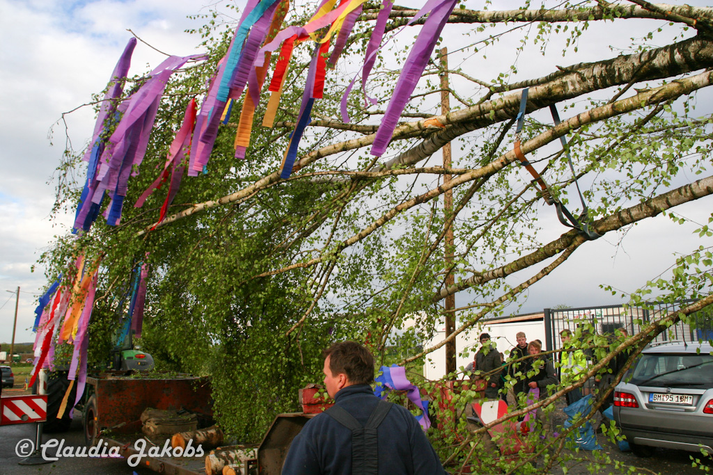 150430174628 IMG 8896