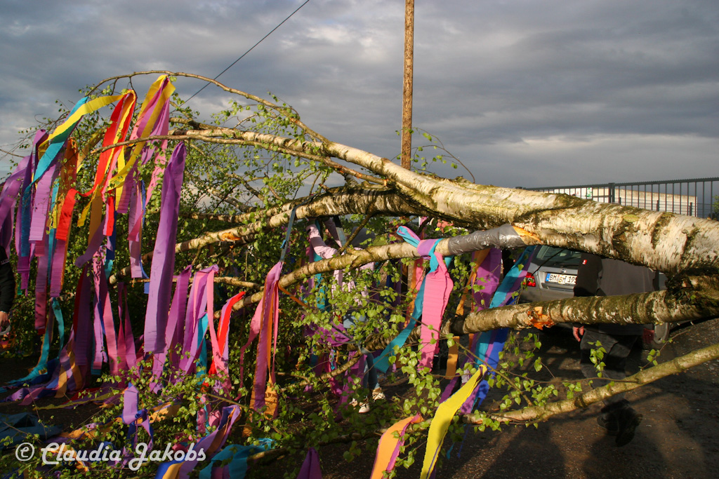 150430175247 IMG 8906