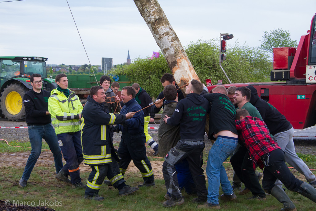 150430180731 MJ  3536