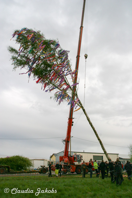 150430180734 IMG 8939