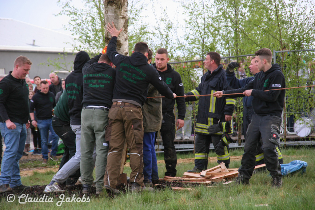 150430180837 IMG 8952