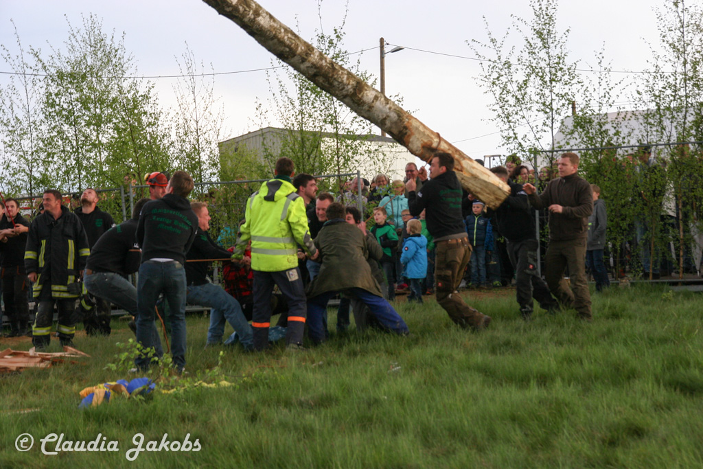 150430181244 IMG 8977