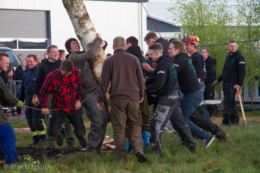 150430181303 MJ  3551