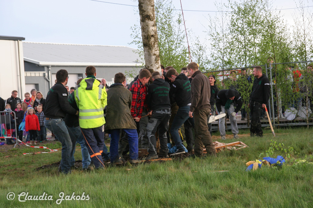 150430181306 IMG 8981