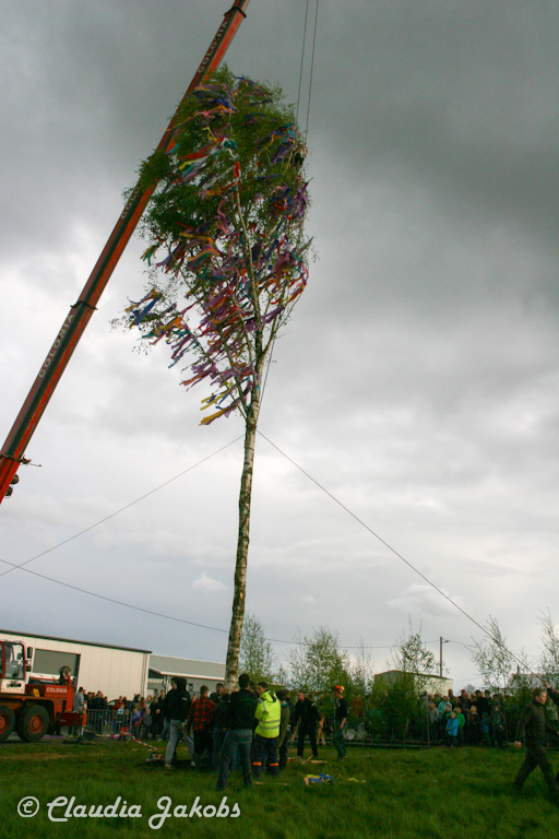 150430181408 IMG 8988